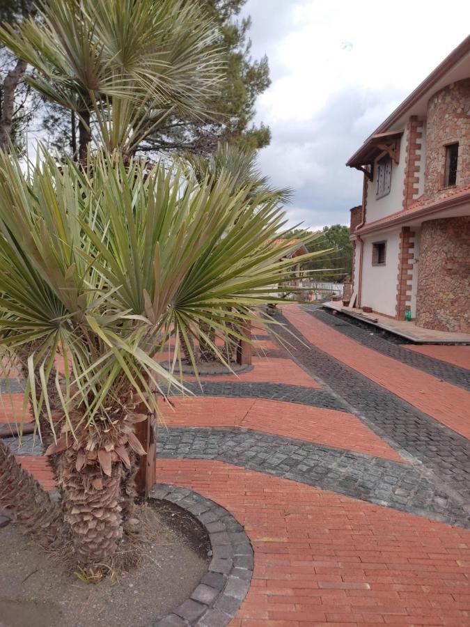 Bed and Breakfast Etna Casa Del Sole Ніколозі Екстер'єр фото